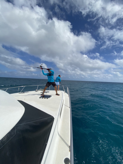 ニューカレドニア