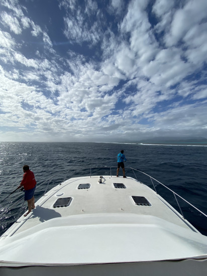 ニューカレドニア